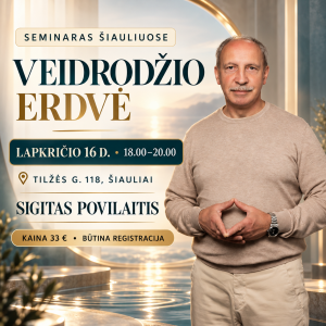 seminaras-veidrodzio-erdve-facebook